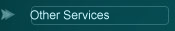 Other Services